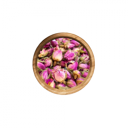 Boutons de Rose