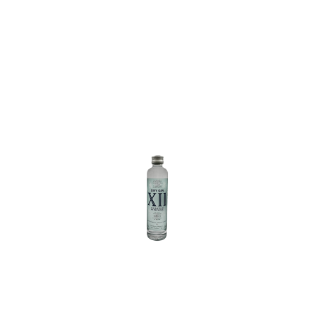 Dry Gin XII