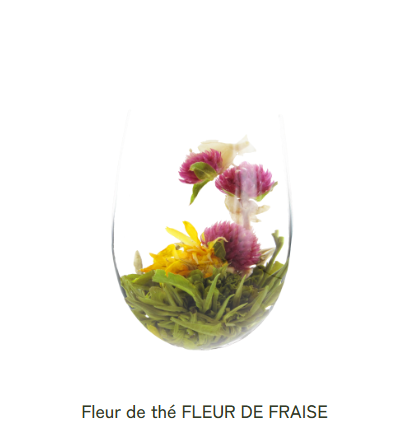 Fleur de Thé Blanc