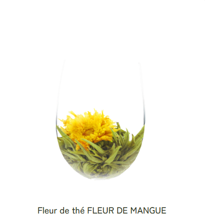 Fleur de Thé Blanc