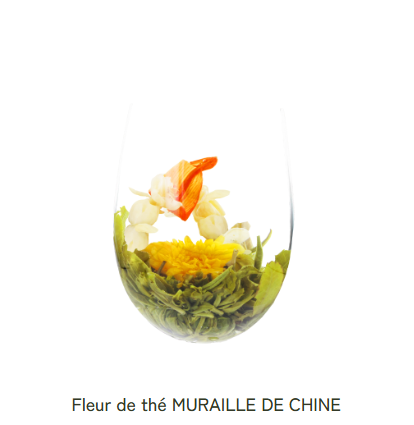 Fleur de Thé Blanc